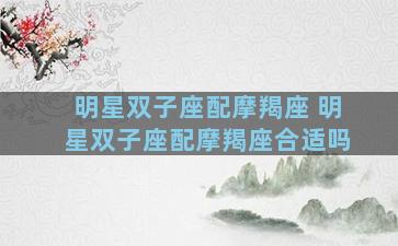 明星双子座配摩羯座 明星双子座配摩羯座合适吗